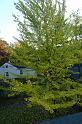 DSC08296