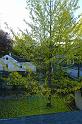 DSC08301