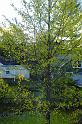 DSC08310