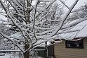 DSC08355