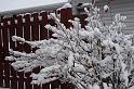 DSC08358
