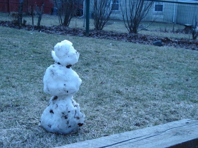 DSC00122.JPG - Another view and another filter. 14 February 2006