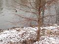 DSC00234