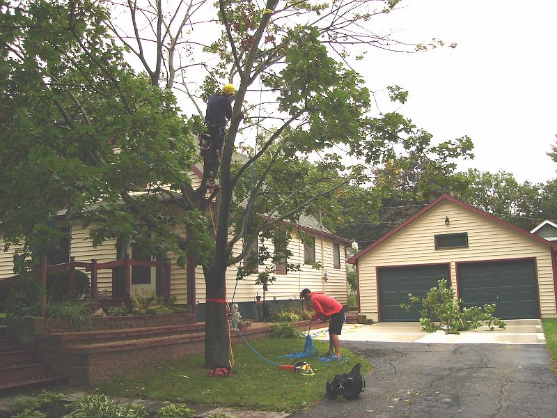 DSC00368_00.JPG - One branch off. 9 September 2006