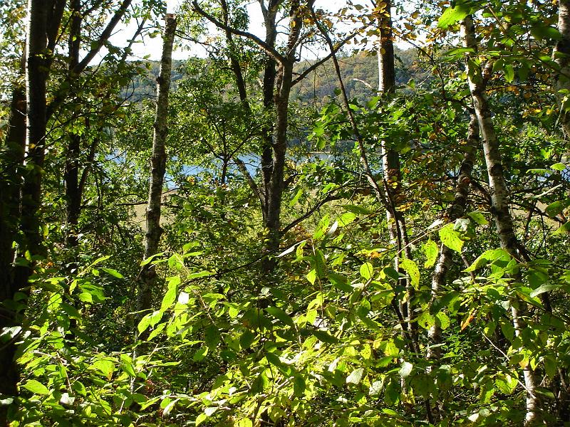 DSC00452.JPG - On the trail up to St. Mary of the Oaks, Indian Lake County Park. 26 September 2006