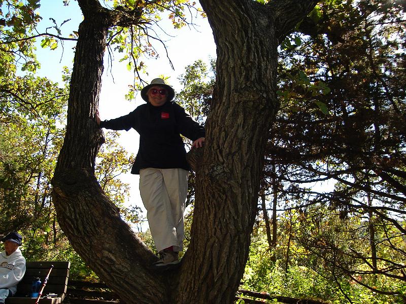 DSC00454.JPG - Ramona on the bench, Judy in a tree. 26 September 2006