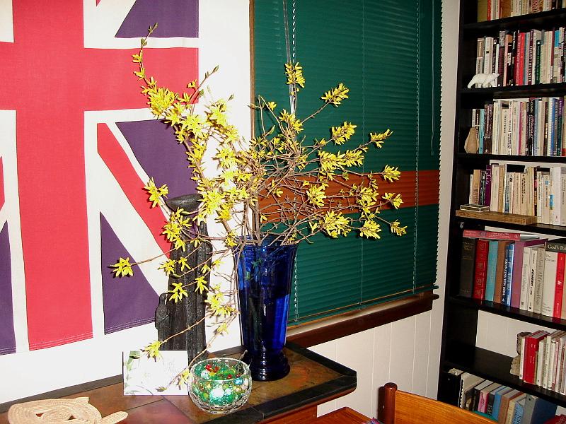 DSC00842_00.JPG - Forsythia for Easter. 8 April 2007