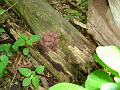 DSC00902