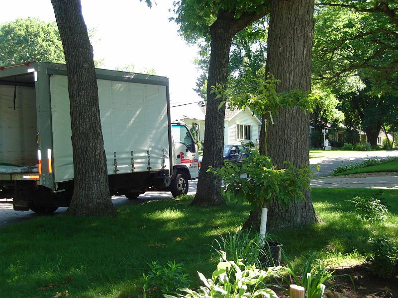DSC00955.JPG - The truck from the Bruce Company and the newest tree, a Pagoda Dogwood, named Georgette, next to where she will be planted. 19 June 2007