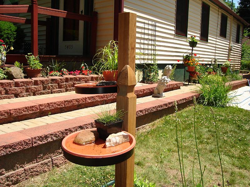DSC00969.JPG - Another view of the birdbath. 30 June 2007