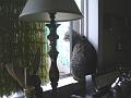 DSC01487_00