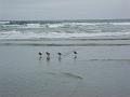 DSC01515_00