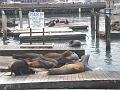 DSC01529_00