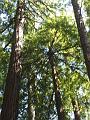 DSC01546_00