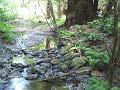 DSC01549_00