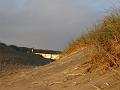 DSC01599