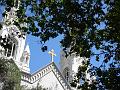 DSC01617