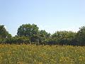 DSC01734