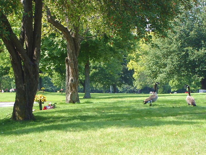 DSC01779.JPG - Before going to the memorial park's office to take care of all the paperwork, Judy and Bill went to the gravesite.  There were geese nearby.  Wisconsin Memorial Park, Brookfield Wisconsin. 18 September 2007