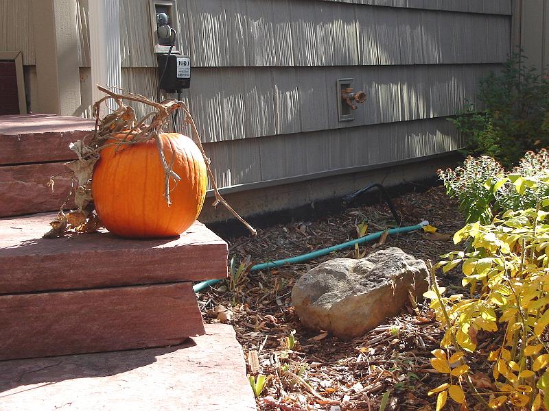 DSC01964.JPG - Pumpkin in Ron and Marci's front garden, Boulder Colorado. 28 October 2007