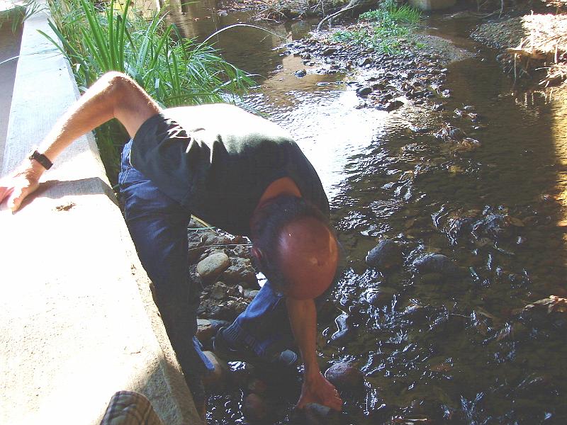 DSC01965.JPG - Ron getting a rock from Boulder Creek for Judy's labyrinth. 28 October 2007