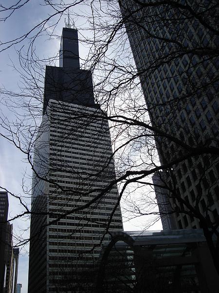 DSC02211.JPG - The Sears Tower, behind another building. 21 February 2008