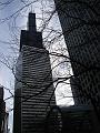 DSC02211
