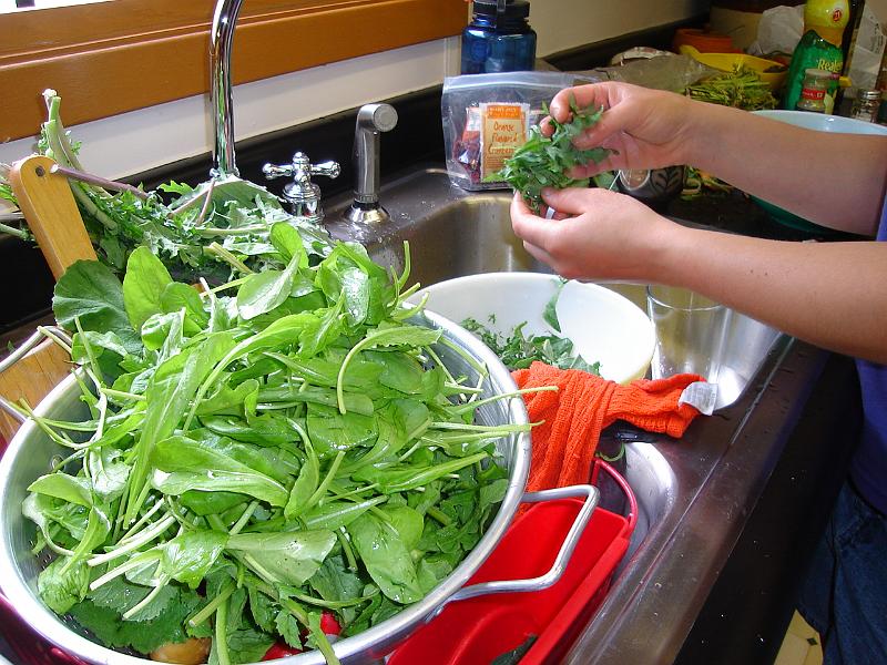 DSC02761.JPG - Brenda making a salad. 17 May 2008