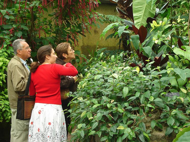 DSC02802.JPG - Juan B. Sara, and Amparo in the Bolz Conservatory, Olbrich Gardens.  Madison 18 May 2008