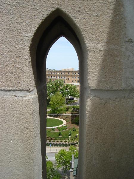 DSC02833.JPG - View of University Of Wisconsin Madison Botany Gardens from on top the Luther Memorial Tower. 24 May 2008