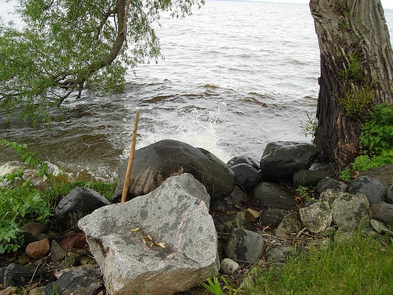 DSC02917.JPG - The walking stick Andrew found for me on the beach of Lake Mendota in Madison went along with me to Lake Winnebago. 3 June 2008