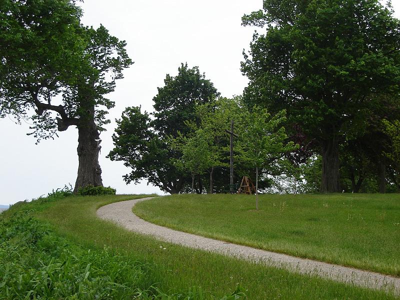 DSC02919.JPG - There are many paved walkways both along the lake and through the trees.  Even though nearly sixty people were there, one often felt alone and solitary. 3 June 2008