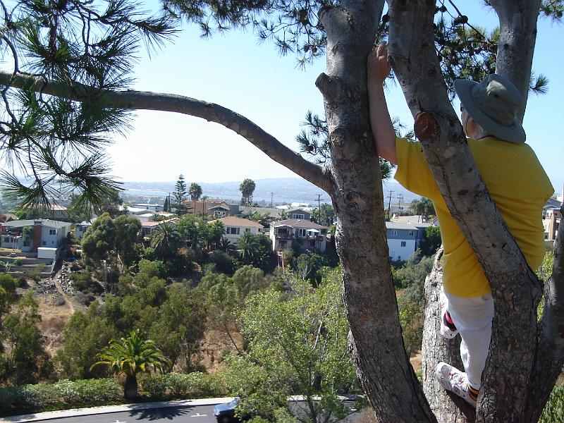 DSC00124.JPG - Judy looking west from the Peace campus of the University of San Diego 11 August 2008