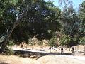 DSC00035