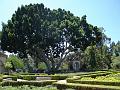DSC00040