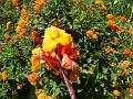 DSC00080