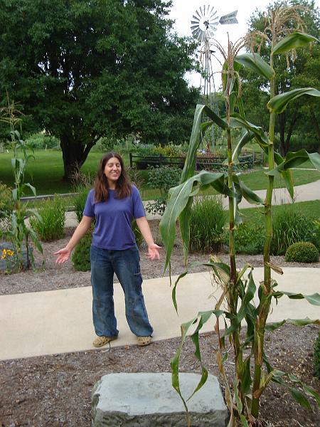 DSC00205.JPG - Brenda admiring a corn stalk, Meadow Brook Park Urbana 14 August 2008