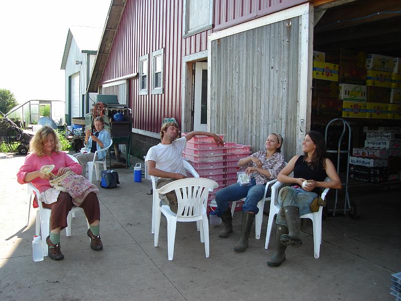 DSC00210.JPG - The crew at Blue Moon Farm hard at work.  Urbana 15 August 2008
