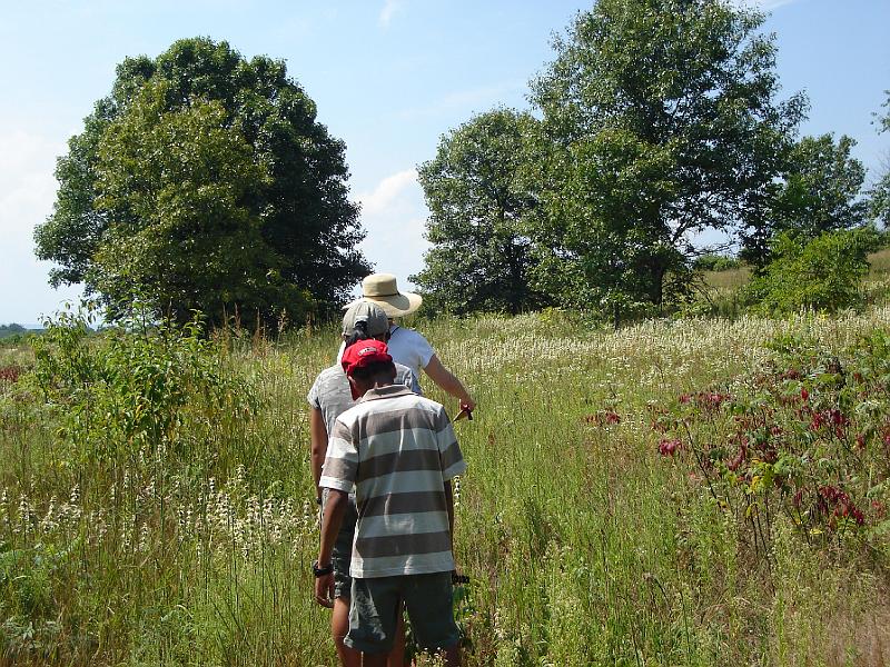 DSC00232.JPG - Kavi, Guanshan, and Cindy on the trail with black oak barrens in the distance. 20 August 2008
