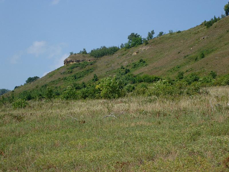 DSC00235.JPG - Dry bluffs at the Spring Green Preserve, the Wisconsin Desert. 20 August 2008