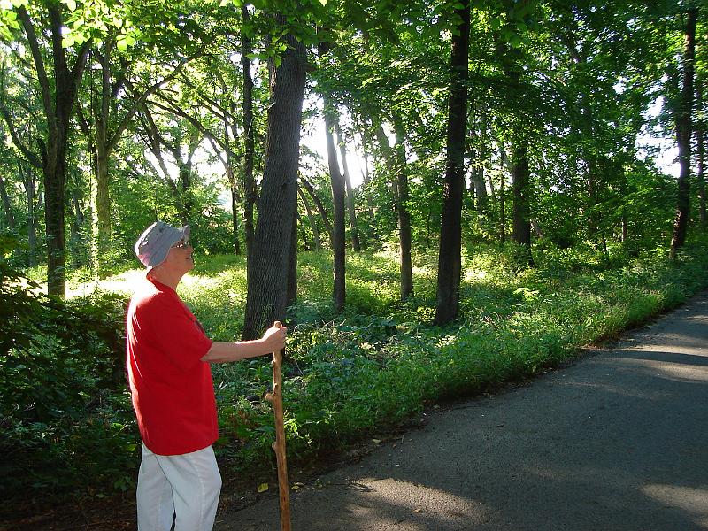 DSC00240.JPG - Judy and Andrew (the photographer) taking a walk in Owen Park. 30 August 2008