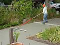 DSC00324