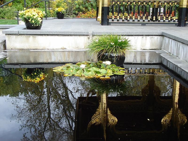 DSC00457.JPG - The reflecting pool surrounding the Thai Pavilion, Olbrich Gardens, Madison 13 October 2008
