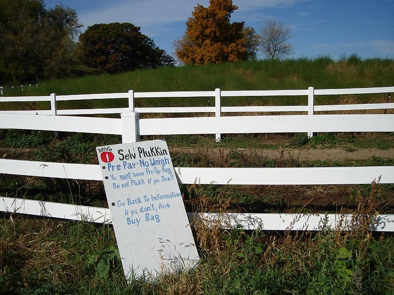 DSC00464.JPG - da selv plukkin rules at da Eplegaarden apple orchard.  Fitchburg Wisconsin 14 October 2008