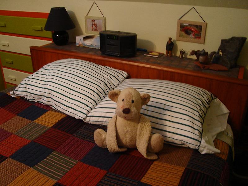 DSC00612.JPG - Dandy seems to like his new digs.  5405 20 December 2008