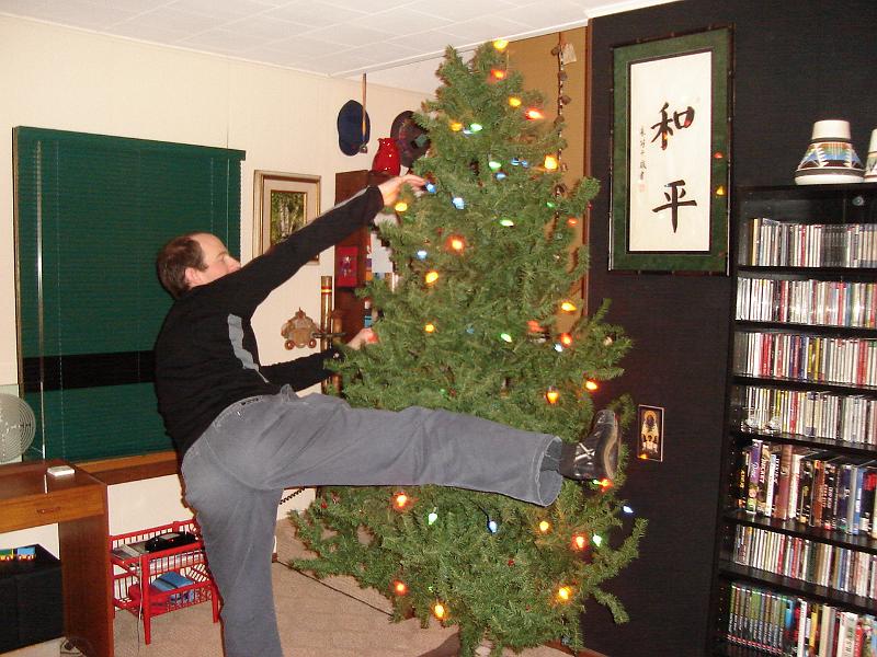 DSC00641.JPG - Matt putting lights on the tree.  Madison 26 December 2008