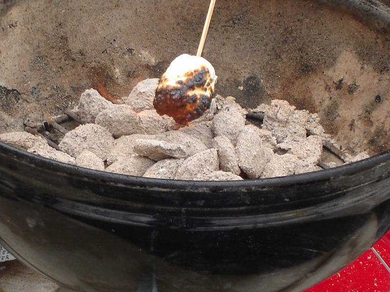 DSC00774.JPG - Flaming marshmallow. 1 January 2009