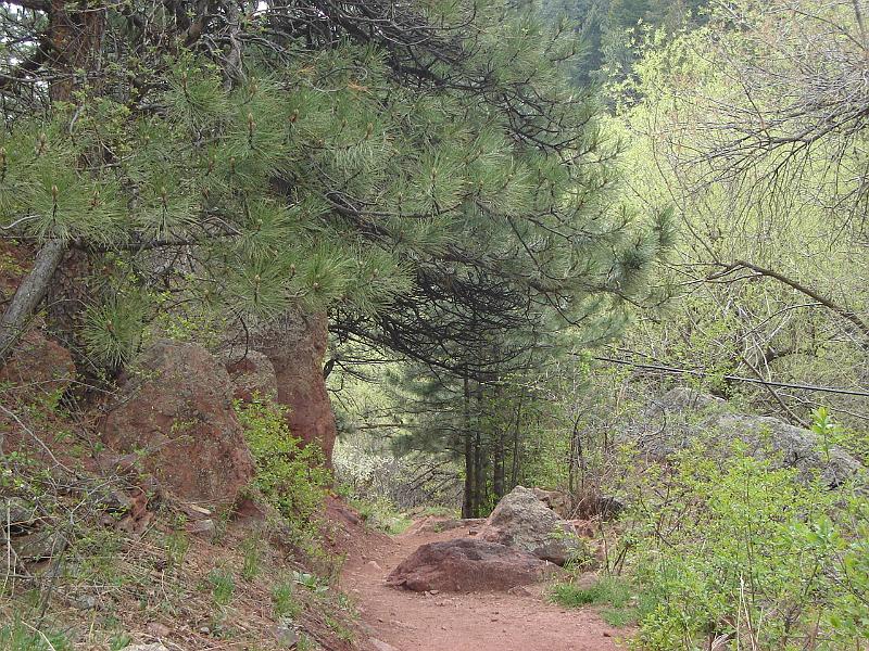 DSC00898.JPG - A path in Gregory Canyon near Chautauqua Meadow, Boulder. 30 April 2009